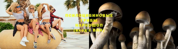 эйфоретик Белокуриха