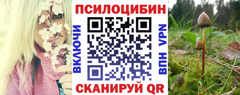Галлюциногенные грибы мухоморы  Кингисепп 